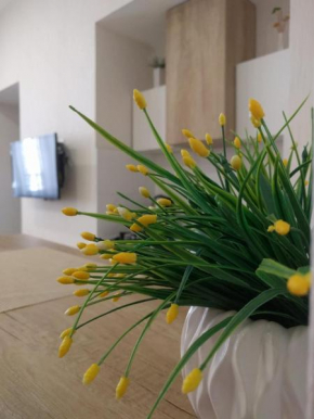 Studio apartment in Old Tbilisi